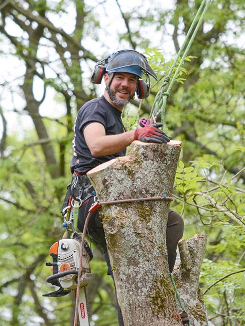 Greg Wright from The Roots skilfully felling a tree whilst wearing his signature smile