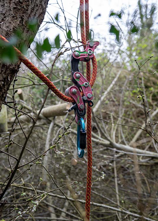 detail of ropes and winch in tree for safe tree surgery work