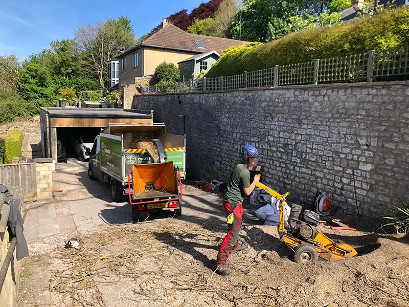 site clearance using commercial chipper by professional tree surgeon